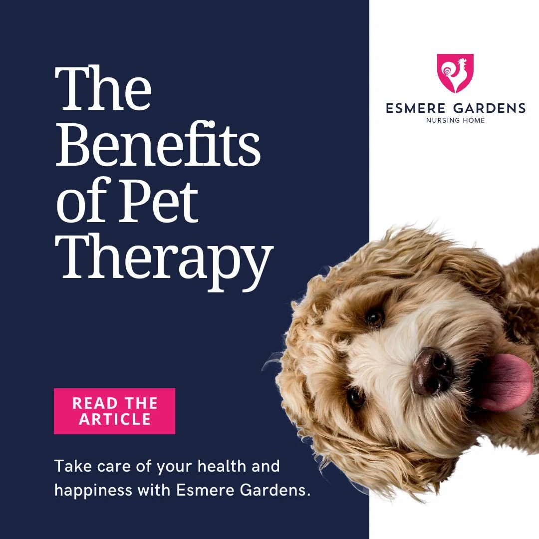 The Benefits of Pet Therapy