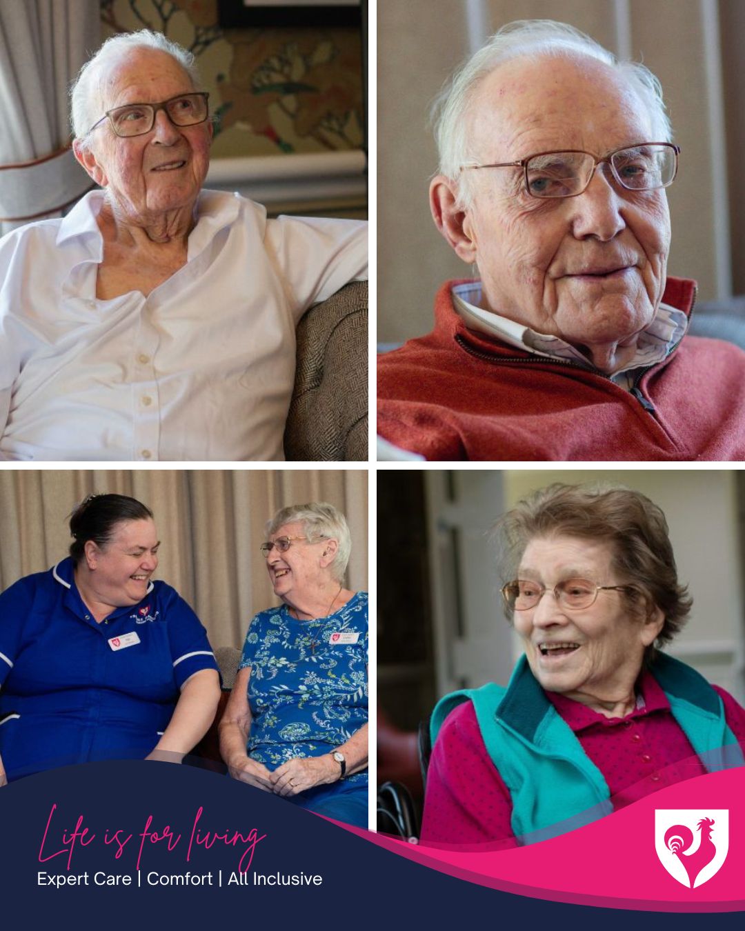 Our Life in Pictures