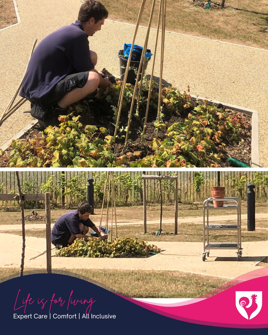Sweet Pea Tipi in Bloom