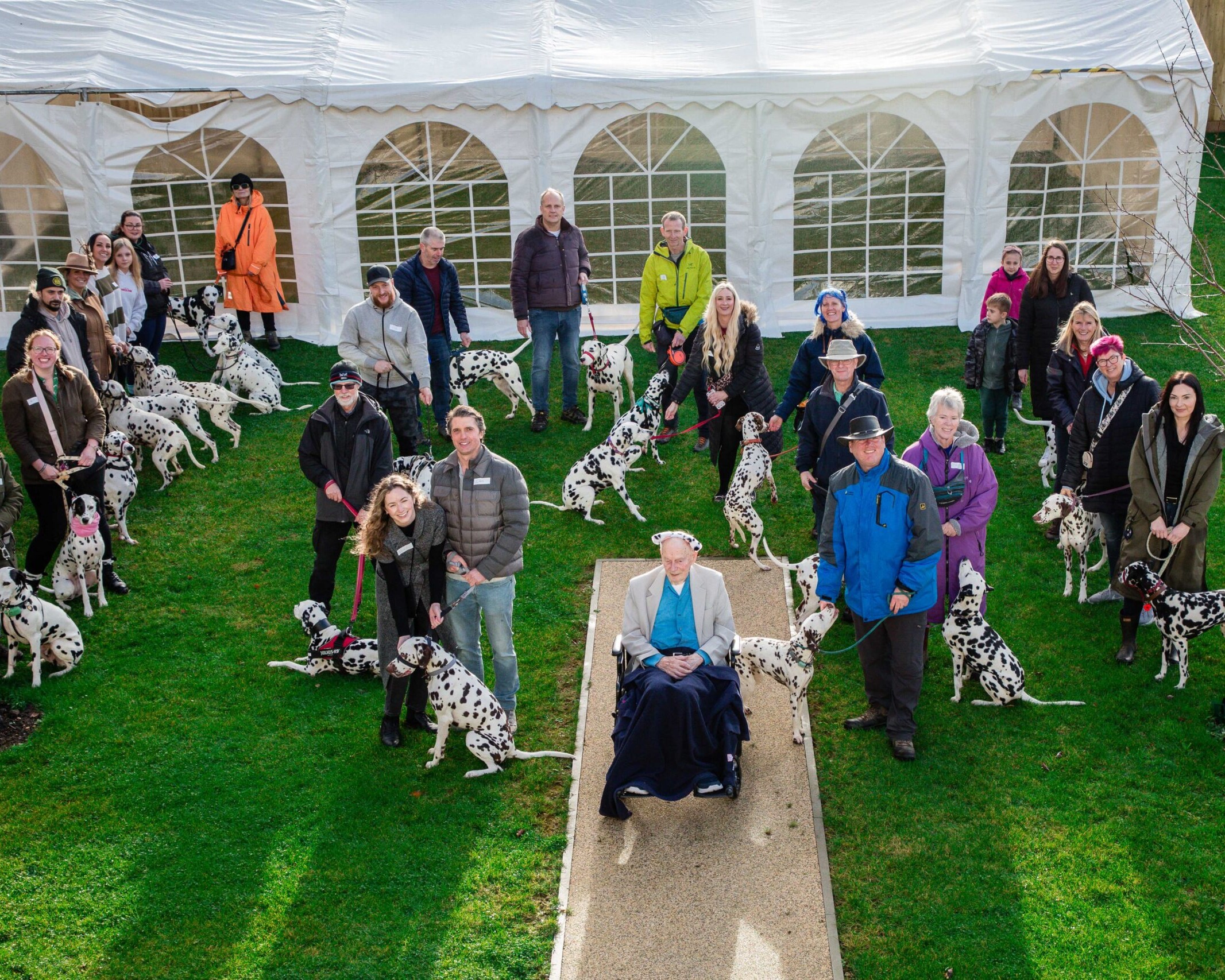 101 Dalmations Birthday Surprise