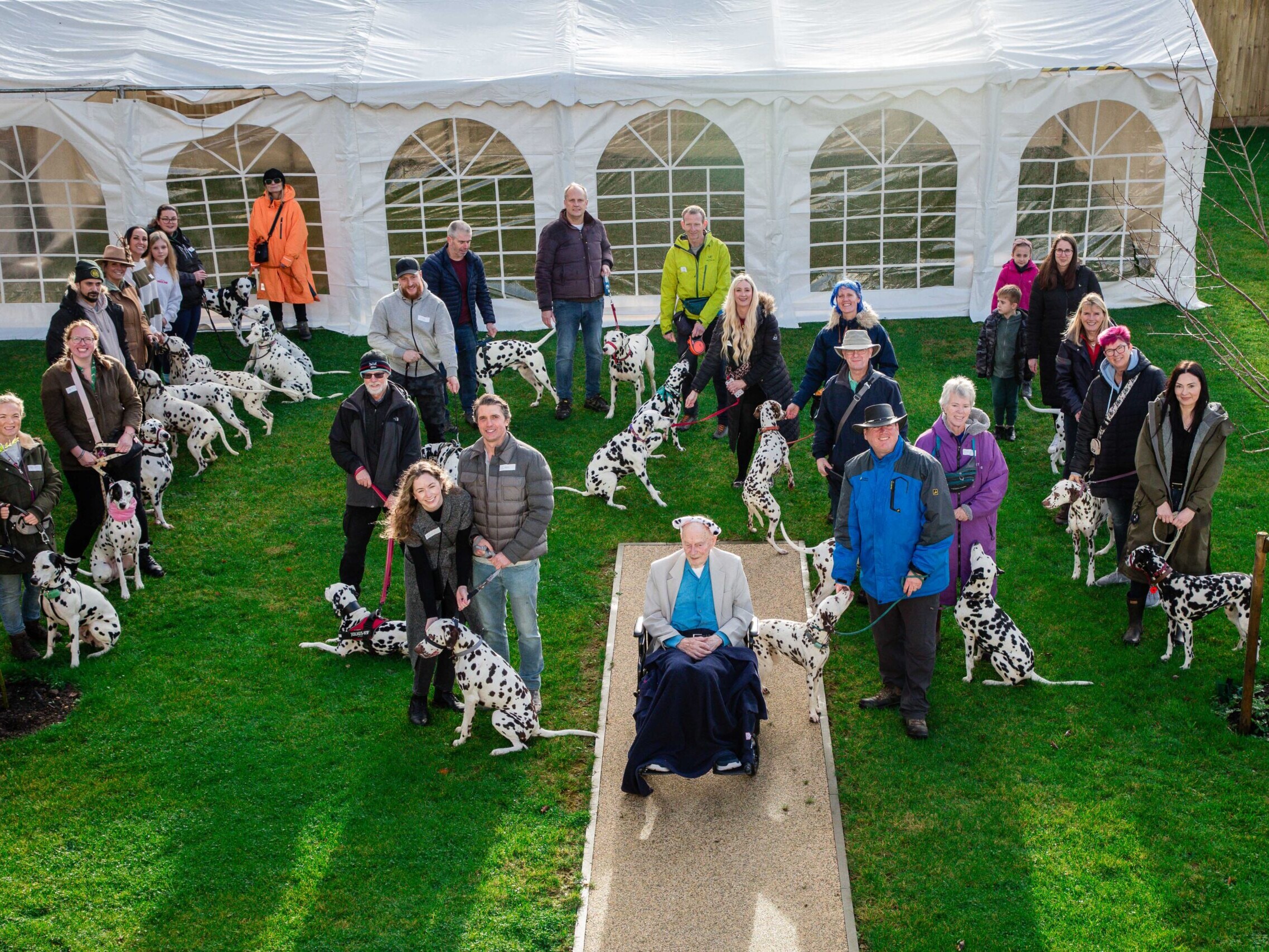 101 Dalmations Birthday Surprise