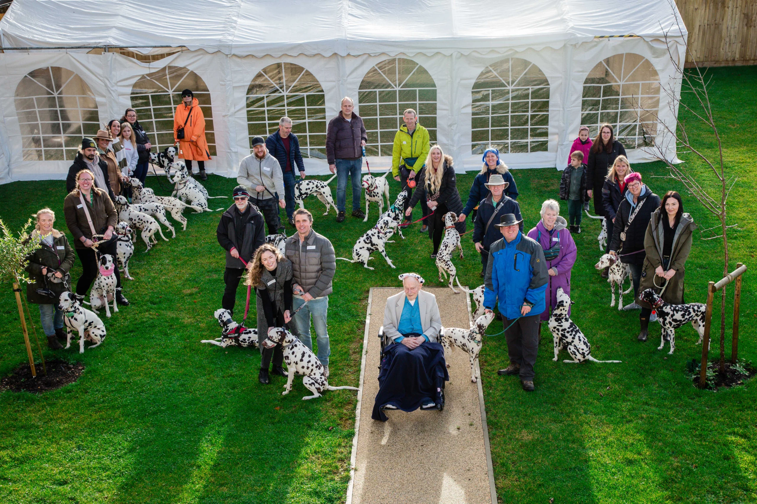 101 Dalmations Birthday Surprise